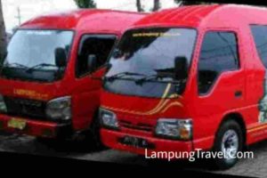 Travel Lampung Lahat