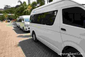 Info Travel Lampung Kebun Jeruk